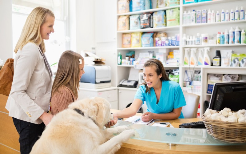 Veterinary office security is essential for keeping staff, patients, and their human companions safe.